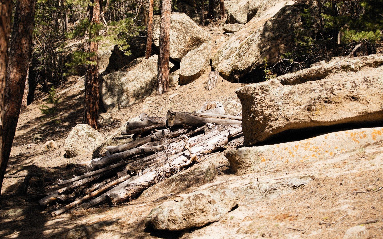 A cut trail bench on a steep slope, raking light