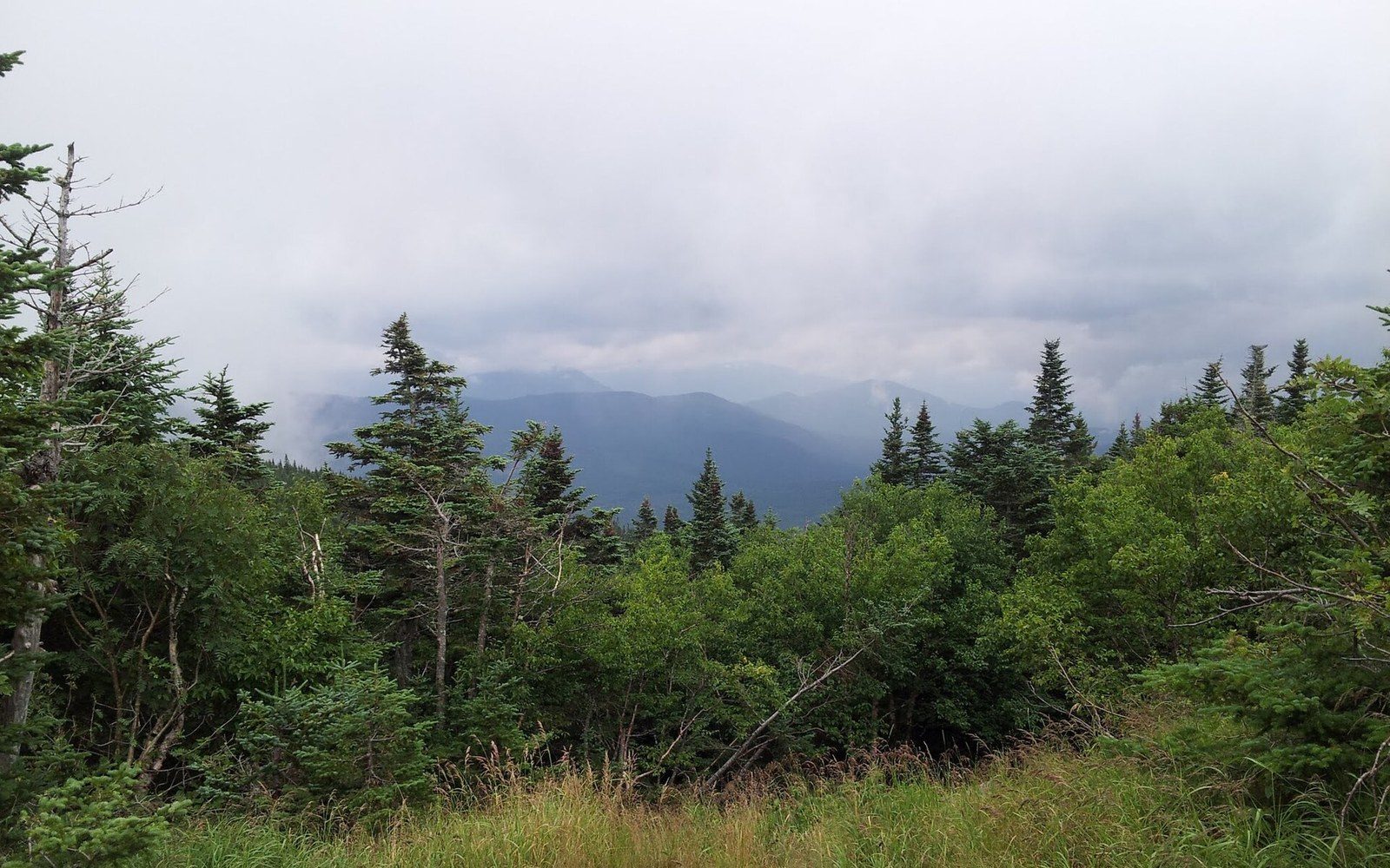 A ridge line under heavy cloud, path visible, wide